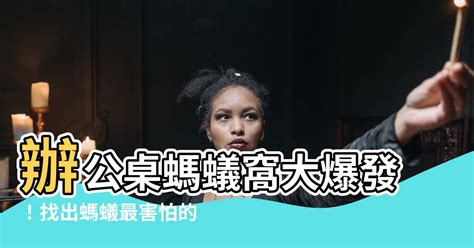 玫瑰 辦公桌有螞蟻